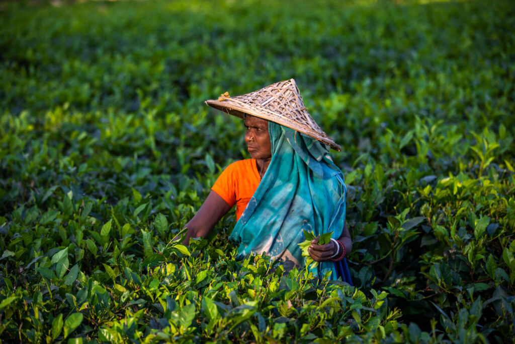 pixcript portfolio photo 01